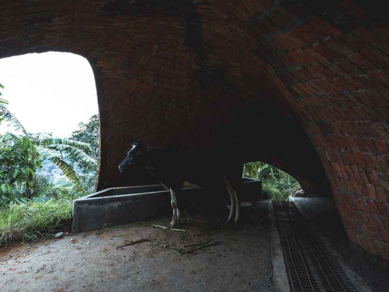 Undulating brick catenary arch spans
