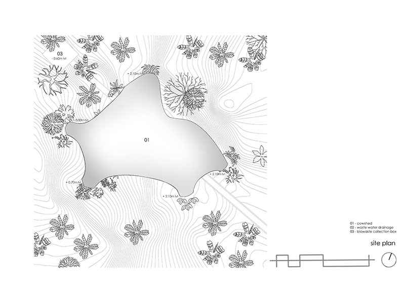 Site Plan & Level Contours