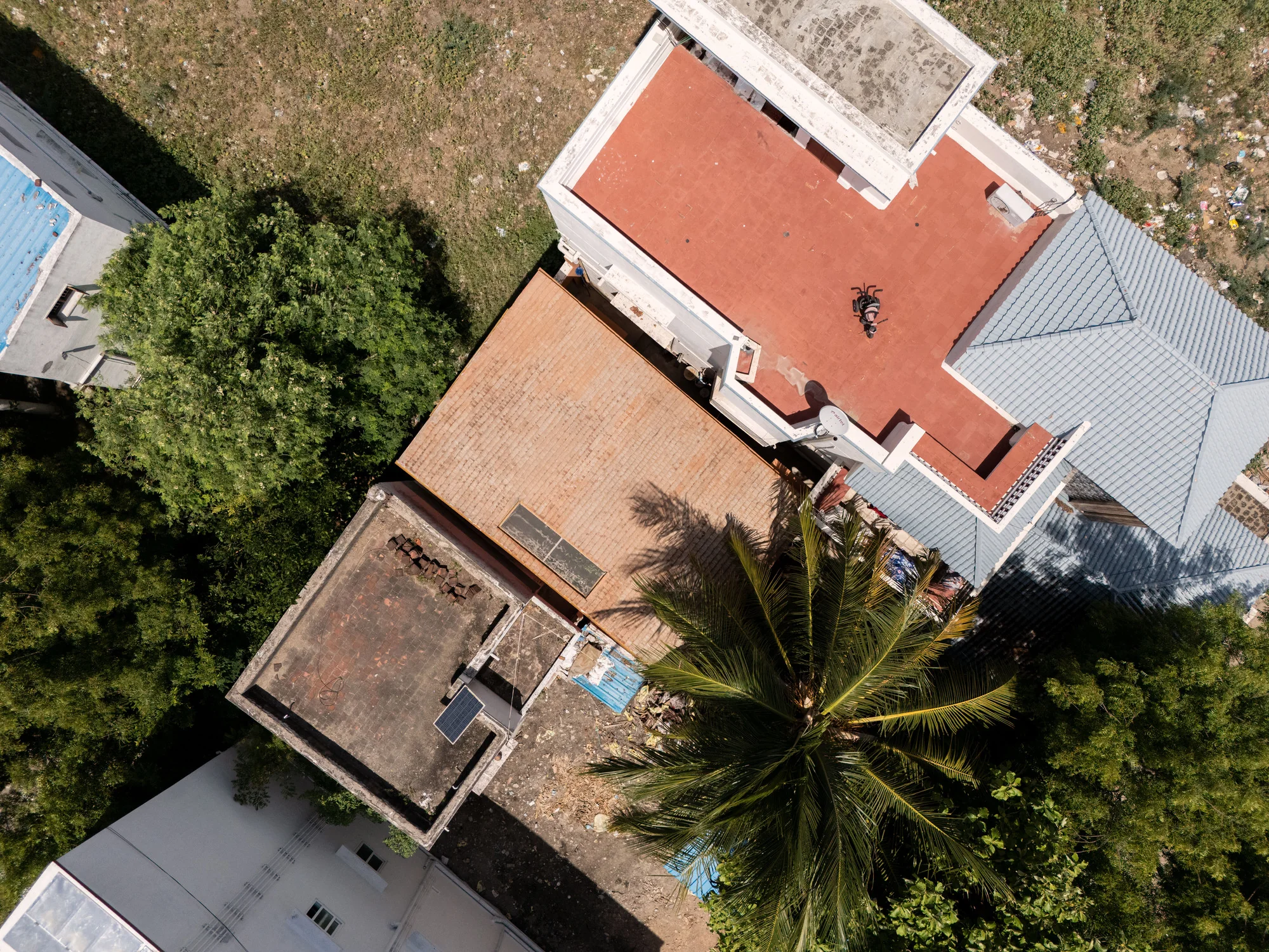 The house and retained trees from above