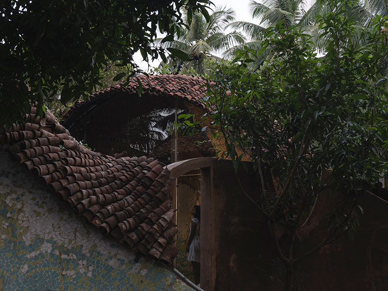 Twin vault arches emerging through coconut canopy